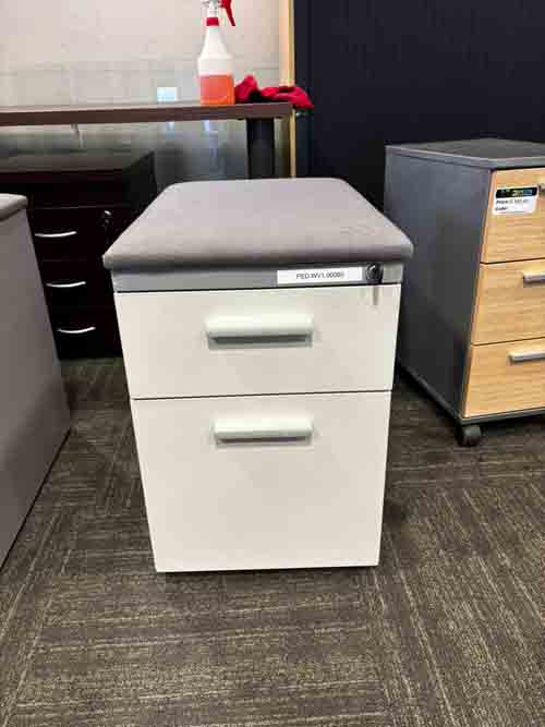 Steel 2D Mobile Pedestal with Cushion